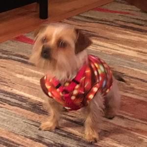 Meet your Posher, Judy